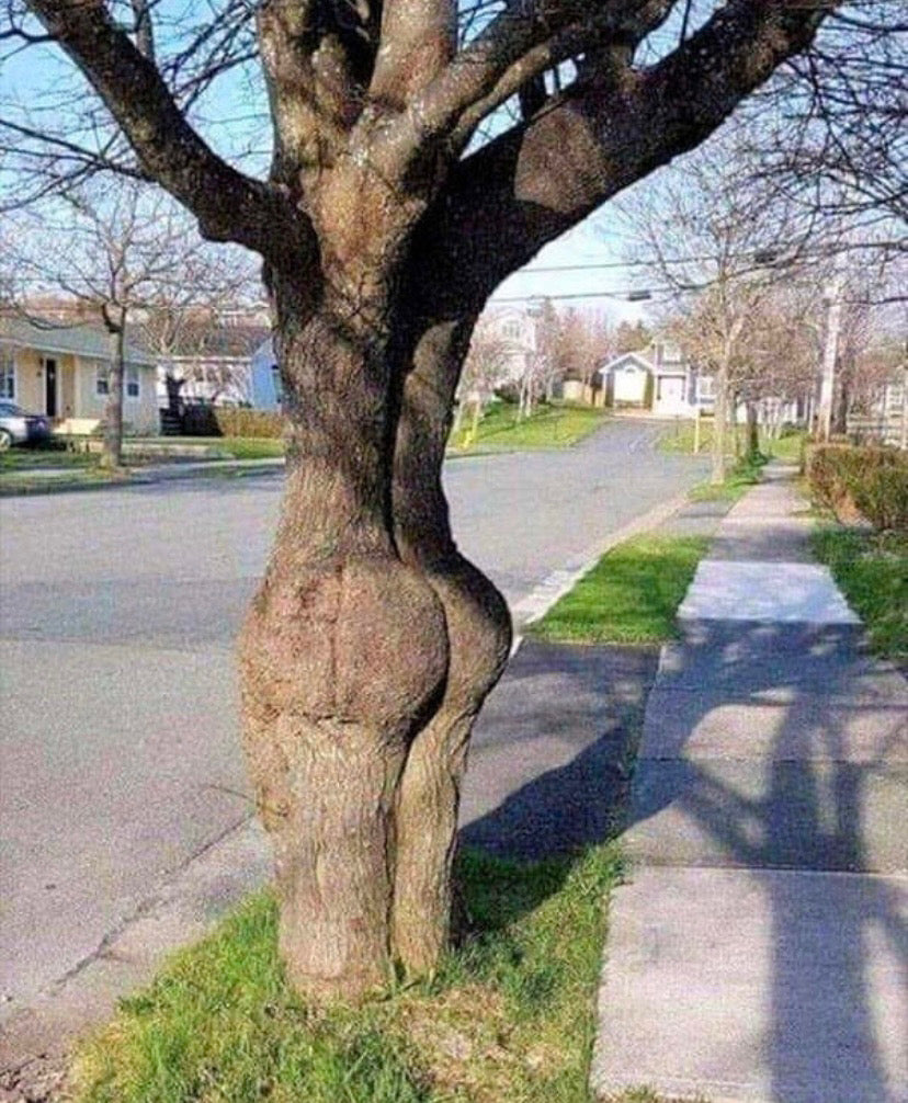 Loving butts is the most natural thing on Earth
